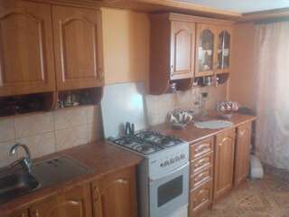 Лоджи Guest House Pid Lypamy Микуличин Дом с 4 спальнями-19